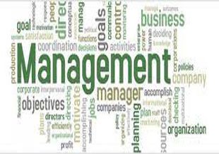 Management